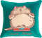 MS Cat Pillow.jpg