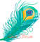 Peacock-Feather 5.jpg