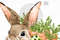 Png easter bunny clipart_03.JPG