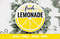 Lemonade005----Mockup1.jpg