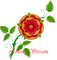 Tudor-Style Rose 2.jpg