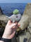 mini whale crochet stuffed toy (9).jpg