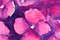 pink hydrangea5.jpg