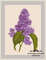 Lilac-01.jpg