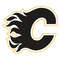 Calgary Flames5.jpg