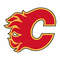 Calgary Flames9.jpg