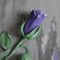 deadly nightshade painting (3).png
