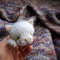 Sleeping cat knitting pattern, cute kitten brooch, amigurumi cat, stuffed cat toy pattern, giftt for her, cat toy guide 4.jpeg