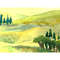 Summer. Green hills and Tuscan trees. Fragment of a close-up Original art.