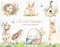 1 Easter bunnies watercolor cover.jpg