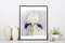 "Blue and White Iris"  Flower Original Wall Art Painting Watercolor Artwork picture floral