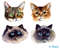watercolor cats.jpg