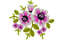 Creative flower embroidery design2.jpg