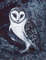 barn-owl-print.jpg