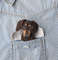 Dachshund dog portrait pin (3).JPG