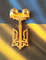 ukrainian-medal-hero-of-ukraine-4.jpg