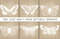Kraft-Paper-Butterfly-Collection-Graphics-10894110-1-1-580x386.jpg