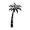 Palm trees3.jpg