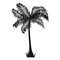 Palm trees4.jpg