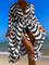 Allover Print Belted Kimono Oversized Cover Up Beachwear Swimming (3).jpg