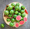 miniature watermelon.jpg