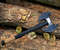 Double Blade Viking Axe Double Headed Viking Axe, Battle Axe, Hand Forged Steel 2.png