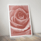 rose-wall-art-painting-22.png