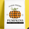pumpkin-halloween-1.png