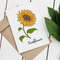 Sunflower-preview-05.jpg