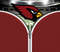 Arizona Cardinals Zipper.jpg
