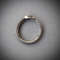 Snake ring Ouroboros jewelry.jpg