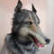 Wolf - werewolf, carnival mask, halloween, cosplay, fursuit (4).JPG