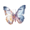 butterfly1.png