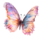 butterfly6.png