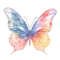 butterfly8.png