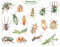 2 Insects watercolor collection elements.jpg