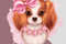 Spring Dog Pink B 02.jpg