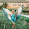 Large Angel wings costume.jpg