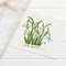 Galanthus-preview-08.jpg