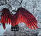 adult wings costume, red angel wings, devil wings, phoenix costume, articulating wings, red cosplay wings, moving anime wings, movable wings, wings of fire, pho
