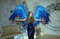 bluebird wings costume parrot wings costume gleaming fairy wings shining jaybird angel wings costume lucky bird wings victoria secret wings blue wearable wings 