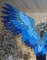 bluebird wings costume parrot wings costume gleaming fairy wings shining jaybird angel wings costume lucky bird wings victoria secret wings blue wearable wings 
