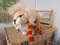 Stuffed lion toy gift for Harry Potter fans.jpg