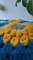 Crochet Sunflower Bag, Sunflower Tote, Market Bag, 3.jpg