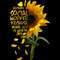 Sunflower  (66).jpg
