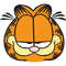 Garfield-18.jpg