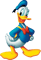 Donald Duck (1).png