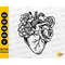 MR-27720230444-floral-anatomical-heart-svg-cardiology-svg-love-tattoo-image-1.jpg