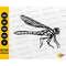 MR-277202321544-dragonfly-svg-insect-svg-animal-drawing-illustration-image-1.jpg