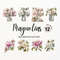 MR-277202314382-spring-magnolias-png-watercolor-magnolia-clipart-bundle-image-1.jpg